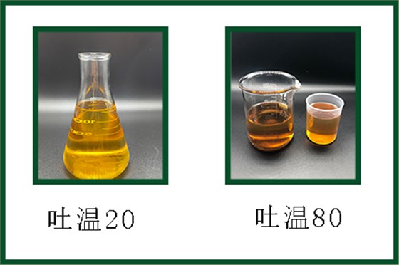 T20-T80不同